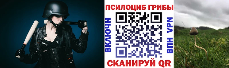 Псилоцибиновые грибы мицелий где продают наркотики Райчихинск